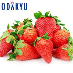 ������ �������� �������� ����200�Z�b�g ���ꌧ�Y ���������� 4�p�b�N ��1kg A�i�ȏ� �b7-12�����x�ł̂��͂�������E�����ւ͓͕s��(��