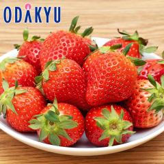 ������ �������� �������� ����200�Z�b�g ��悢�Ђ� 4�p�b�N�Z�b�g ��1kg A�i�ȏ� �b7-12�����x�ł̂��͂�������E�����ւ͓͕s��(��)