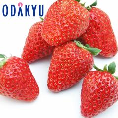 ������ �������� �Ö��Ǝ_���̃o�����X���▭ �É����Y �g�ق��� ��0.5kg A�i�ȏ� �b7-12�����x�ł̂��͂�������E�����ւ͓͕s��(��)