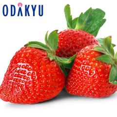 ������ �������� �N�₩�ȍg�F ���茧�Y ��߂̂� ��0.5kg A�i�ȏ� �b7-12�����x�ł̂��͂�������E�����ւ͓͕s��(��)