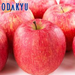 ��� �������� �X���Y �T���ӂ� 4.8�L���l�� ��4.8kg �G �b7-12�����x�ł̂��͂�������E�����ւ͓͕s��(��)