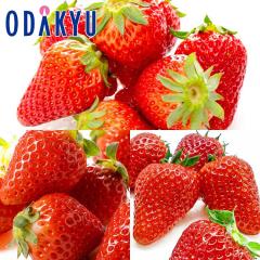 ������ �������� �g�ق��؃t�@�~���[ �g�ق��� �E �Ós�� �E ����ҍ� ��0.7kg A�i�ȏ� �b7-12�����x�ł̂��͂�������E�����ւ͓͕s��(