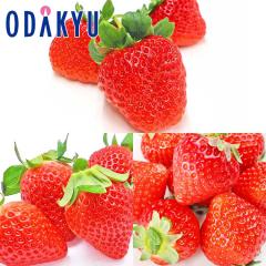 ������ �������� �������o�חʑS����3��! �����Ղ肭�܂��Ƃ������O�� ��1.4kg A�i�ȏ� �b7-12�����x�ł̂��͂�������E�����ւ͓͕s��(