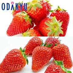 ������ �������� �É����Y �����Ղ肵�������������H�ה�׃Z�b�g ��1kg A�i�ȏ� �b7-12�����x�ł̂��͂�������E�����ւ͓͕s��(��)