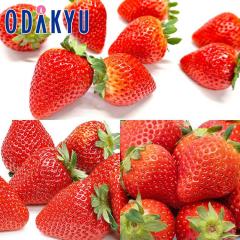 ������ �������� ����Ƃ��������O�� ��0.7kg A�i�ȏ� �b7-12�����x�ł̂��͂�������E�����ւ͓͕s��(��)