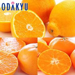 �݂��� �������� ���Q���Y �f�R�|�� �E ���Ƃ� �E �Õ� ���Q���k�Z�b�g ��1.6kg �G �b7-12�����x�ł̂��͂�������E�����ւ͓͕s��(��)