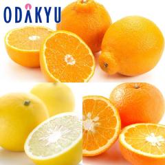 �݂��� �������� �F�{���Y �f�R�|�� �E �p�[���� �E �g�É� �F�{���k�Z�b�g ��2.1kg �G �b2�����{�ȍ~�̂��͂�������E�����ւ͓͕s��(��