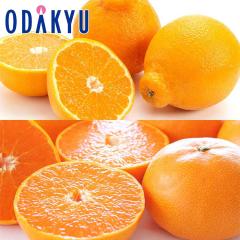 �݂��� �������� �f�R�|�� �� ���Ƃ� 2���̂������ߊ��k ��1.4kg �G �b7-12�����x�ł̂��͂�������E�����ւ͓͕s��(��)