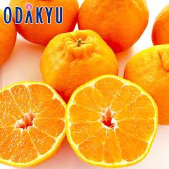 �݂��� �������� ���x13�x�ȏ� 3�Y�n�f�R�|���H�ה�� ��1.7kg �G �b7-12�����x�ł̂��͂�������E�����ւ͓͕s��(��)