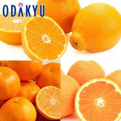 �݂��� �������� �f�R�|�� & �͂�� �E ���� 3��̃I�����W ��2kg �G �b7-12�����x�ł̂��͂�������E�����ւ͓͕s��(��)