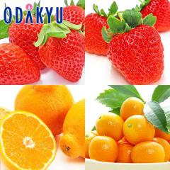 ������ �������� �����Ղ�F�{ �䂤�ׂ� �E �Ђ̂����� �E �f�R�|�� �E ������ ��2.1kg �b7-12�����x�ł̂��͂�������E�����ւ͓͕s��(