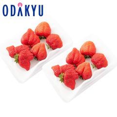 ������ �������� ���������� ����100�Z�b�g �������Y �������܂��� �O�����f 2�p�b�N���� ��0.5kg �b7-12�����x�ł̂��͂�������E������