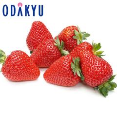 ������ �������� ���������� �Ƃ����Ƃ� 4�p�b�N �Î_���ς��������Ղ芬�\ ��1kg A�i�ȏ� �b7-12�����x�ł̂��͂�������E�����ւ͓͕s