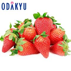 ������ �������� ���������� ���ꌧ�Y ���������� 4�p�b�N ��i�ȊÂ����ґ�� ��1kg A�i�ȏ� �b7-12�����x�ł̂��͂�������E�����ւ͓�