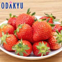 ������ �������� ���������� ��悢�Ђ� 4�p�b�N �܂�₩�ȊÂ��������Ղ芬�\ ��1kg A�i�ȏ� �b7-12�����x�ł̂��͂�������E�����ւ�