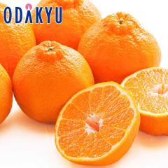 �݂��� �������� ���������� ����100�Z�b�g �f�R�|�� 6�ʋl�� ��1.5kg �b7-12�����x�ł̂��͂�������E�����ւ͓͕s��(��)