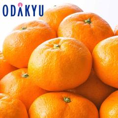 ���� �������� ���������� �É����Y �O�P���݂��� 2L�`3L ��3.5kg �b7-12�����x�ł̂��͂�������E�����ւ͓͕s��(��)