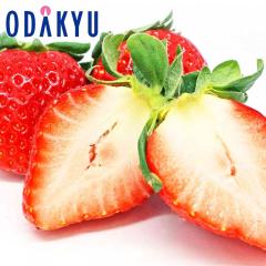 ������ �������� ����̔� �F�{���e�r�Y �����g�p �Ђ̂����� ������ ��0.2kg ���� �b7-12�����x�ł̂��͂�������E�����ւ͓͕s��(��)