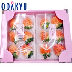 ������ �������� �����C�`�S ���ꌧ�Y �W��f���b�N�X 2�p�b�N ��0.5kg DX �b7-12�����x�ł̂��͂�������E�����ւ͓͕s��(��)