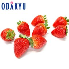 ������ �������� �Ȗ؂̃j���[�X�^�[ �Ȗ،��Y �Ƃ������� ��0.5kg DX �b7-12�����x�ł̂��͂�������E�����ւ͓͕s��(��)