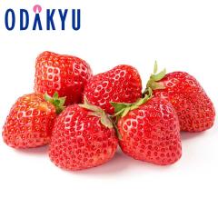 ������ �������� ����������i�� �������Y ���܂��� ��0.5kg DX �b7-12�����x�ł̂��͂�������E�����ւ͓͕s��(��)