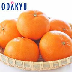 �݂��� �������� ��ʌ��� ���Ƃ� 4L�`3L�T�C�Y ��2.8kg �G �b7-12�����x�ł̂��͂�������E�����ւ͓͕s��(��)