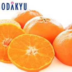 �݂��� �������� ��ʌ��� ���Q���Y �Õ� 4L�`3L�T�C�Y ��2.8kg �G �b7-12�����x�ł̂��͂�������E�����ւ͓͕s��(��)