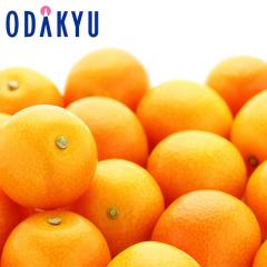 ���񂩂� �������� ���x16�x�ȏ� �{�茧�Y ���n���� ���܂��� 3L�`4L�T�C�Y ��1.5kg �G �b7-12�����x�ł̂��͂�������E�����ւ͓͕s��(