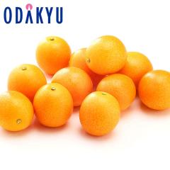 ���񂩂� �������� ���x20�x�ȏ� �É����Y ���n���� ���� ��0.9kg �G �b7-12�����x�ł̂��͂�������E�����ւ͓͕s��(��)