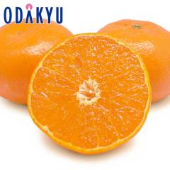 �݂��� �������� ���x12.5�x�ȏ� ���ꌧ�Y �͂܂��� ��2.5kg �G �b7-12�����x�ł̂��͂�������E�����ւ͓͕s��(��)