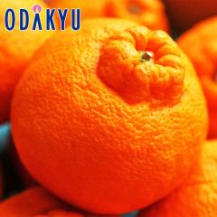 �݂��� �������� ���x13�x�ȏ� �{��F�{�̑�� �f�R�|�� ��4.8kg �D�ȏ� �b7-12�����x�ł̂��͂�������E�����ւ͓͕s��(��)