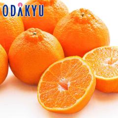 �݂��� �������� ���x13�x�ȏ� �{��F�{�� �f�R�|�� ��4.8kg �D�ȏ� �b7-12�����x�ł̂��͂�������E�����ւ͓͕s��(��)