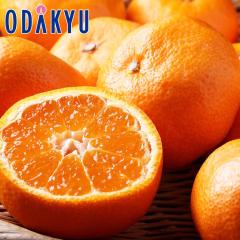 ���� �������� �É����Y ���Y�����Y�݂��� M�`L�T�C�Y ��5kg �b2�����{�ȍ~�̂��͂�������E�����ւ͓͕s��(��)