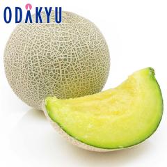 ������ �������� �F�{���Y �������� 2L�T�C�Y 2�ʋl�� ��1.8kg �b2�����{�ȍ~�̂��͂�������E�����ւ͓͕s��(��)