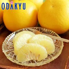 �݂��� �������� ���m���Y �y�����U 3kg 5�`8�� �b7-12�����x�ł̂��͂�������E�����ւ͓͕s��(��)