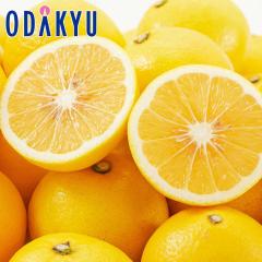 �݂��� �������� �{�茧�Y ������ 2.5kg 8�`12�� �b7-12�����x�ł̂��͂�������E�����ւ͓͕s��(��)