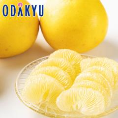 �݂��� �������� ���m���Y �y������ 2.5kg 8�`12�� �b3�����{�ȍ~�̂��͂�������E�����ւ͓͕s��(��)