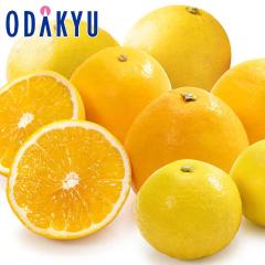 �݂��� �������� ���������� �����{�̉��F�����k�Z�b�g�b7-12�����x�ł̂��͂�������E�����ւ͓͕s��(��)