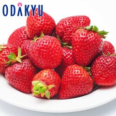 ������ �������� ��ʌ��Y ���܂�� 2�p�b�N ��0.5kg �b7-12�����x�ł̂��͂�������E�����ւ͓͕s��(��)