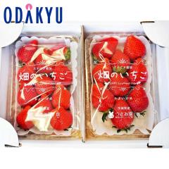 ������ �������� ��錧���_����悢�Ђ� 2�p�b�N ��0.5kg �b7-12�����x�ł̂��͂�������E�����ւ͓͕s��(��)