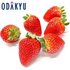 ������ �������� ���������� �Ȗ،��Ƃ������� 2�p�b�N ��0.5kg �b7-12�����x�ł̂��͂�������E�����ւ͓͕s��(��)