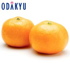 �݂��� �������� ���������� ���ꌧ�Y ���o�݂��񂠂�݂P 2.5kg�b7-12�����x�ł̂��͂�������E�����ւ͓͕s��(��)