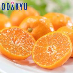 �݂��� �������� �É����Y ���݂��� 2.5kg�b7-12�����x�ł̂��͂�������E�����ւ͓͕s��(��)