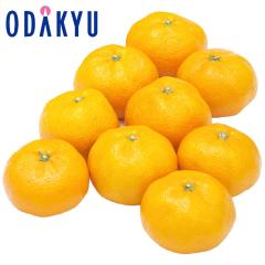 �݂��� �������� �É����Y �O�P���݂��� �Z���� 2.5kg�b7-12�����x�ł̂��͂�������E�����ւ͓͕s��(��)