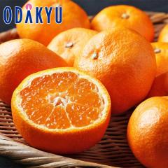 �݂��� �������� �É����Y �����Y�݂���v���~�A�� 2.5kg�b7-12�����x�ł̂��͂�������E�����ւ͓͕s��(��)