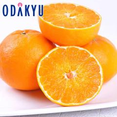 �݂��� �������� ���ꌧ�Y �ɂ��イ�܂� 5kg 10�`25�� �b7-12�����x�ł̂��͂�������E�����ւ͓͕s��(��)