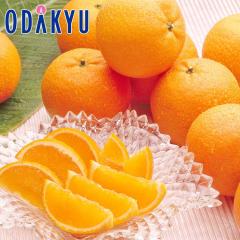 �݂��� �������� ���������Y ���񂩂� 2.5kg 12�ʁ`20�� �b7-12�����x�ł̂��͂�������E�����ւ͓͕s��(��)