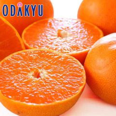 �݂��� �������� ���Q���Y�� ���Ƃ� 2.5kg 12�ʁ`18�� �b7-12�����x�ł̂��͂�������E�����ւ͓͕s��(��)