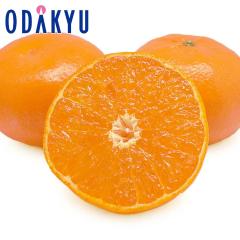 �݂��� �������� ���ꌧ�Y �͂܂��� 2.5kg 12�ʁ`18�� �b7-12�����x�ł̂��͂�������E�����ւ͓͕s��(��)