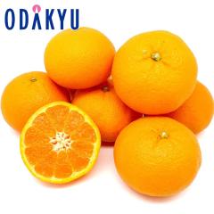 �݂��� �������� �R�����Y ���Ƃ� 2.5kg 10�ʁ`16�� �b7-12�����x�ł̂��͂�������E�����ւ͓͕s��(��)